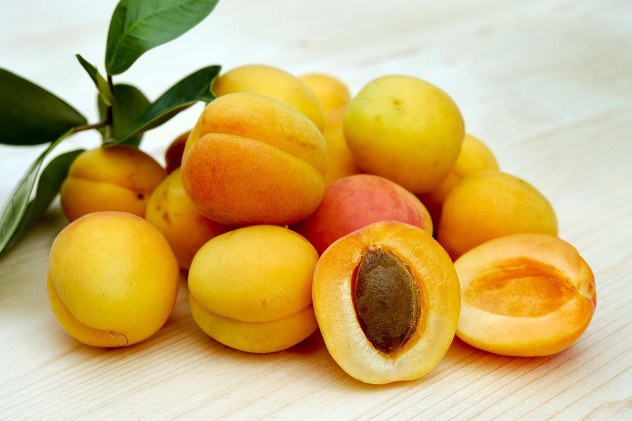 Apricot Puree - 
